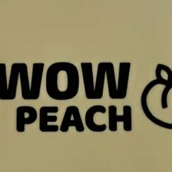 Wow Peach - Shapewear - Billen Buik Been - Corrigerend Ondergoed - Afslank - High Waist - Buttlift - Zwart - Medium 14 Wow Peach - Shapewear - Billen Buik Been - Corrigerend Ondergoed - Afslank - High Waist - Buttlift - Zwart - Medium -Badmode Verkoop 550x367 18
