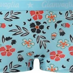 Gianvaglia Dames Onderbroek - Boxershort 5-pack - Stretchy Katoen Blend - Maat S -Badmode Verkoop 550x382 9
