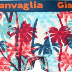 Gianvaglia Dames Onderbroek Katoen - Boxershort 5-pack - Korte Pijp - Maat L -Badmode Verkoop 550x384 35