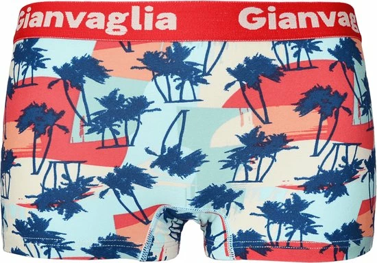 Gianvaglia Dames Onderbroek Katoen - Boxershort 5-pack - Korte Pijp - Maat XL 5 Gianvaglia Dames Onderbroek Katoen - Boxershort 5-pack - Korte Pijp - Maat XL - Afbeelding 3