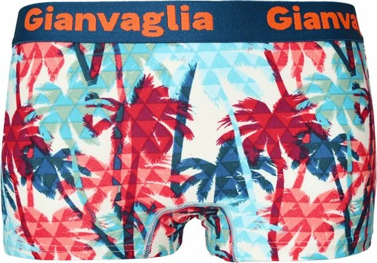 Gianvaglia Dames Onderbroek Katoen - Boxershort 5-pack - Korte Pijp - Maat XL 7 Gianvaglia Dames Onderbroek Katoen - Boxershort 5-pack - Korte Pijp - Maat XL - Afbeelding 5