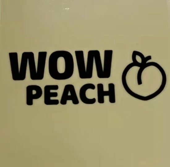 Wow Peach String Shaper Zwart Maat M | Thong Shaper | Corrigerend String |Onzichtbare String | String Met Hoge Taille |Shape Wear |High Waist String |Dames |Correctie Ondergoed|Naadloos String |seamless Thong |Afslank 8 Wow Peach String Shaper Zwart Maat M | Thong Shaper | Corrigerend String |Onzichtbare String | String Met Hoge Taille |Shape Wear |High Waist String |Dames |Correctie Ondergoed|Naadloos String |seamless Thong |Afslank - Afbeelding 6