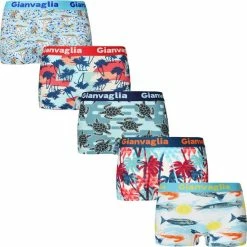 Gianvaglia Dames Onderbroek Katoen - Boxershort 5-pack - Korte Pijp - Maat L