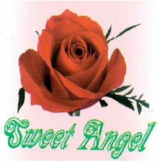 Sweet Angel Hoge Dames Boxershorts Maat XL/XXL 5 Sweet Angel Hoge Dames Boxershorts Maat XL/XXL - Afbeelding 3